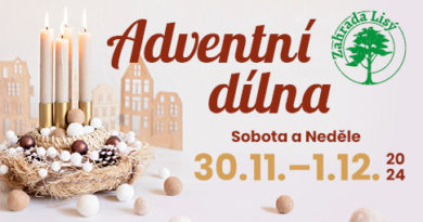 Adventní dílna